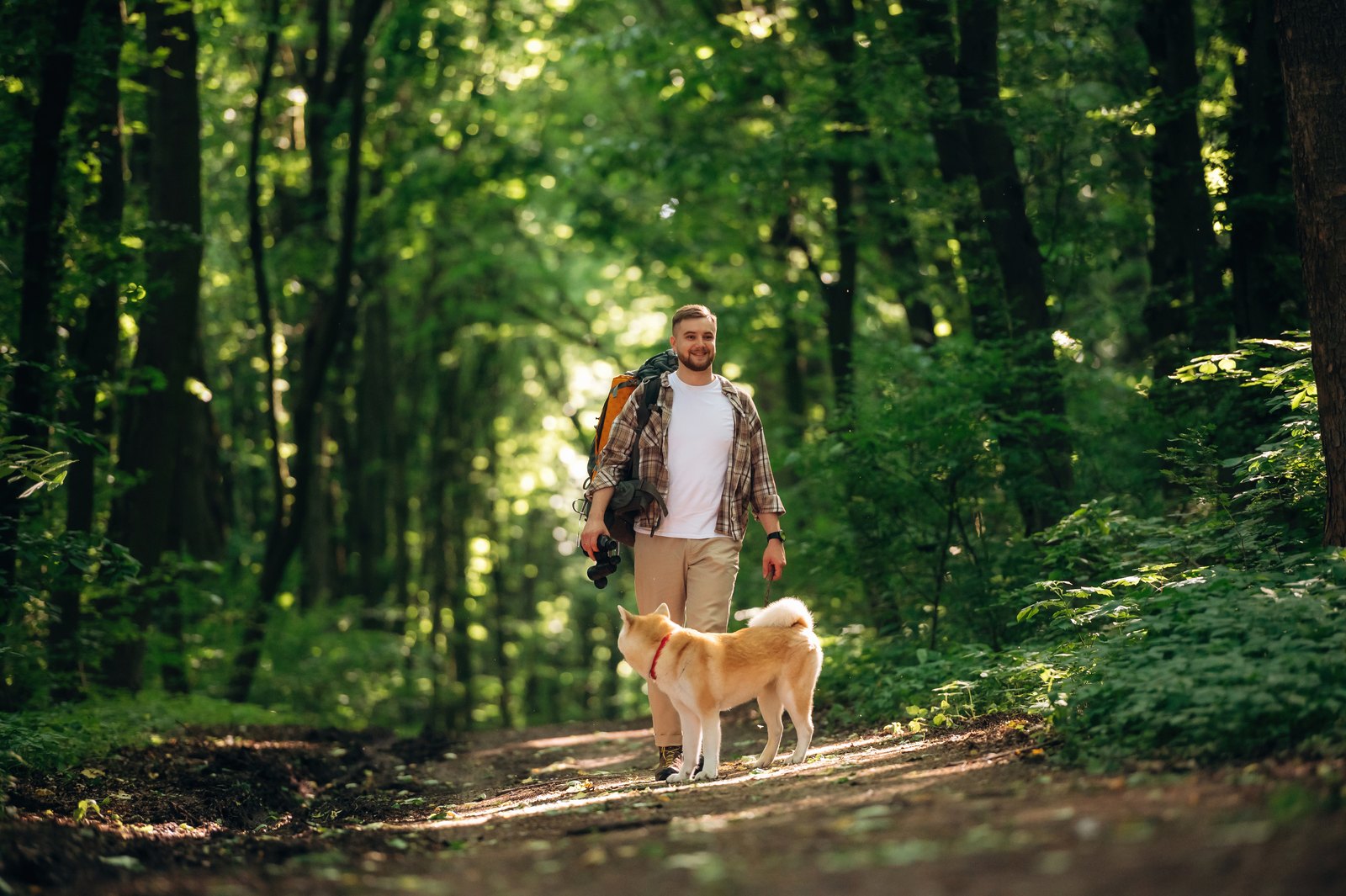 A person walking a dog on a forest path