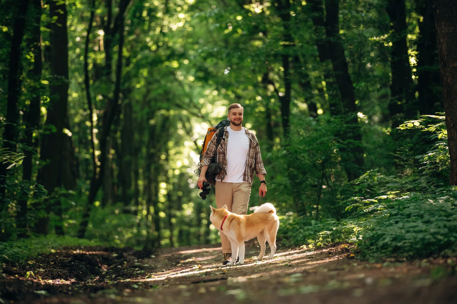 A man and dog on a leafy woodland path
